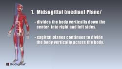 HST-AP - Mapping the Body Instructional Video