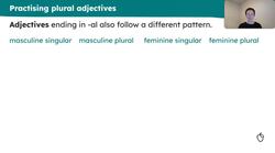 Fire at the zoo! Plural adjectives Instructional Video