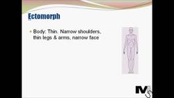 Sheldon's Personality Theory - Simplest explanation Ever Instructional Video
