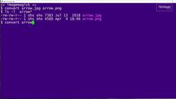 How to use the convert command: 2-Minute Linux Tips Instructional Video