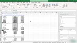 Microsoft Excel 2021365 - Beginner to Advanced - Applying Number Formatting to PivotTable Data Instructional Video