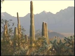 The Evidence of Earth's Rotation Instructional Video