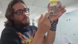 VOICED : El sapo ecuatoriano que rompió el silencio con canto después de un siglo News Clip