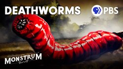 Death Worms: Fact or Fiction? Instructional Video