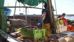 France-UK fishing row: No end in sight amid conflicting versions of Macron-Johnson meeting News Clip