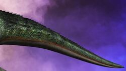 Velociraptor vs. Protoceratops: An Epic Dinosaur Battle Instructional Video