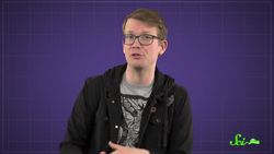 Are the Bees Okay Now? Instructional Video