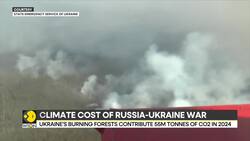 Russia-Ukraine war: Ukraine's burning forests contribute 55 million tonnes of CO2 in 2024 News Clip