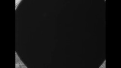 Baseball pitcher Johnny Podres celebration in his home town News Clip