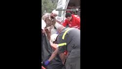 Israeli strike in northern Lebanon kills at least 18 people Instructional Video