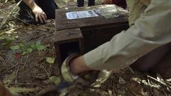 Bushwhacked! - Series 2 - Episode 10 (Urban Animals) Instructional Video