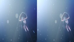 Stereoscopy: Making Flat Visuals Appear in 3D Instructional Video