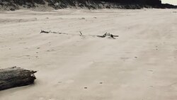 Sandstorm with empty. Stock Footage