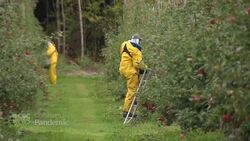 Canada’s food supply chain under strain News Clip