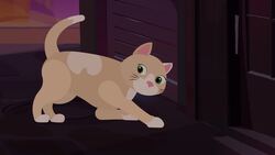 I WONDER - How Do Nocturnal Animals Catch Their Prey? Me Pregunto - Cómo Cazan Los Animales Nocturnos A Su Presa? Instructional Video