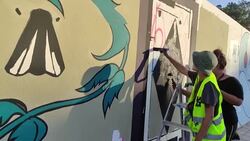 CLEAN : Art flourishes on the walls of Morocco News Clip