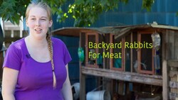 Backyard Rabbits for Meat Instructional Video