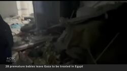 28 premature babies evacuated from Gaza to Egypt News Clip