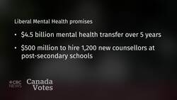 Mental health supports become central plank on the campaign trail News Clip