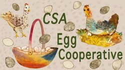 CSA Egg Co-op - Mobile Minute Instructional Video