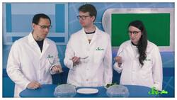 Accomplishing the Impossible Task of Taking Animals out of Meat Instructional Video