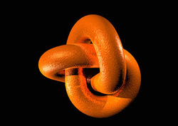 Topology Instructional Video