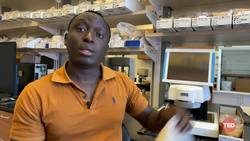 TED: How quinoa can help combat hunger and malnutrition | Cedric Habiyaremye Instructional Video