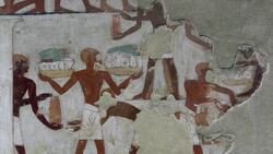 Egypt, Western Thebes, Tombs of Nobles - Tomb of Rekhmire - Hieroglyphs Stock Footage