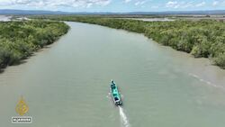 Indonesia crocodile attacks: Mangrove felling causes human-animal conflict News Clip