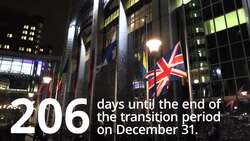 Brexit briefing: 206 days until the end of the transition period News Clip