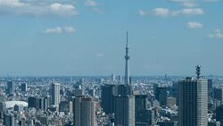 4K Time-Lapse : Tokyo Skyline Stock Footage