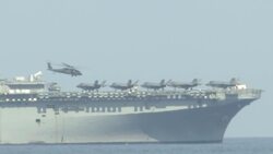 US, Filipino Marines hold joint amphibious drills Instructional Video