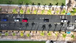 CLEAN : AERIALS: Long lines at drive-up Covid-19 testing site in San Juan News Clip