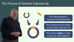 Introduction to Genetic Engineering and its Uses Instructional Video
