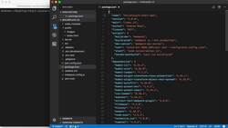 The Complete React Developer Course (with Hooks and Redux) - Creating the Final Boilerplate Instructional Video