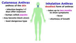 Anthrax Bacillus anthracis Instructional Video