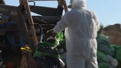 CLEAN : Israel scrambles to clean beaches after massive tar pollution News Clip