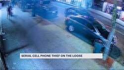 Police: Serial cellphone snatcher on the run in the Bronx News Clip