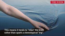 Can Psychedelics Help With Mental Health? Instructional Video