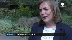 State of the world’s plants in danger says new global report News Clip