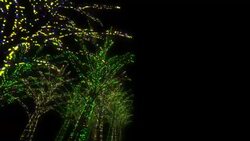 Neon Tree illumination Stock Footage