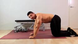 How to Do a Bent Knee Push-Up for an Arm Workout Instructional Video