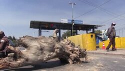 CLEAN : Protesters block roads in Cochabamba against elections' postponement News Clip