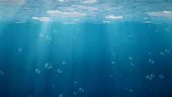 Arctic warming began sooner than thought, closer to human industrialisation Instructional Video