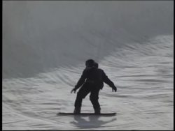 Introduction to Bones and Muscles Instructional Video