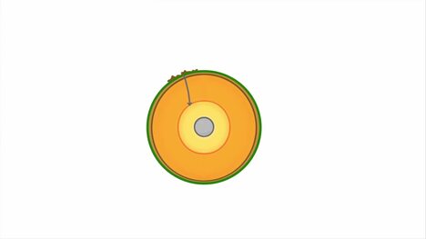 GCSE Physics - Seismic Waves #75