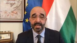 Hungary criticises western media over protests coverage News Clip