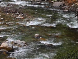 Nuestra preciosa Tierra: introducción Instructional Video