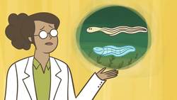 TED-Ed: No one can figure out how eels have sex | Lucy Cooke Instructional Video
