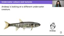 Design an underwater weaving Instructional Video